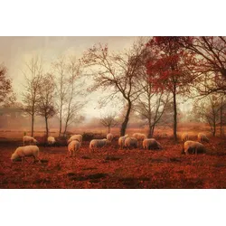 Fototapete PAPERMOON "Photo-Art ELLEN VAN DEELEN, LETZTE TAGE DES HERBSTES", bunt, B:4,00m L:2,60m, Vlies, Tapeten