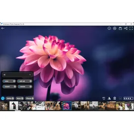 Ashampoo Photo Organizer Pro 26