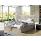 Mirjan24 Boxspringbett Luanda, Doppelbett mit zwei Bettkästen und Matratze, Ehebett (Farbe: Manila 02, Größe: 140x200 cm) - Beige