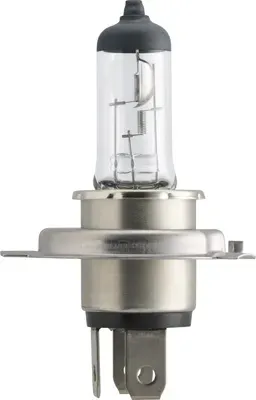 PHILIPS Glühlampe 12342vpc2 für Volvo LAND ROVER Citroën Ford DAF Opel Fiat HOLDEN GM Mercedes VW Audi YAMAHA BMW HONDA RENAULT MAN