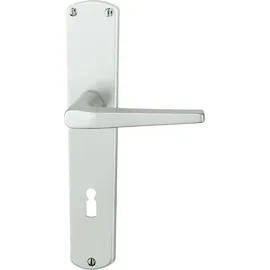 Alpertec BB-Langschildgarnitur Phil Aluminium F1 Silber
