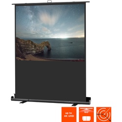 celexon Leinwand Ultramobil Plus Professional - 1:1 - 114 x 114 - Aufprojektion