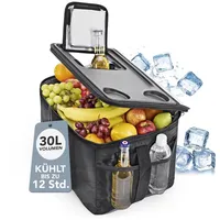EasyMaxx 13601 Kühlbox 30 l Schwarz, Grau