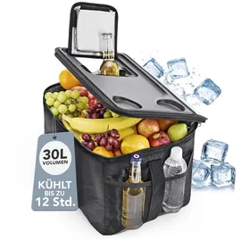 EasyMaxx 13601 Kühlbox 30 l Schwarz, Grau