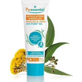 Puressentiel Gelenk & Muskel - Cryo Pure Gel mit 14 ätherischen Ölen - Intensive Kältewirkung - Hilft, empfindliche Stellen zu beruhigen - 80 ml