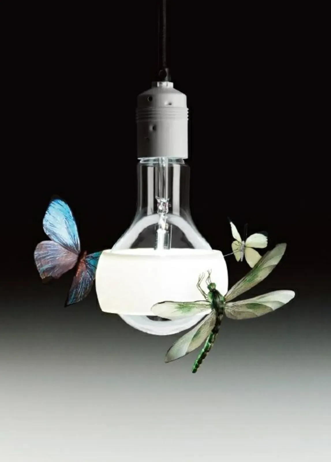 Pendelleuchte Ingo Maurer, Transparent, für Wohnzimmer, Glas - 25