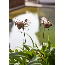 star trading deutschland gmbh LED Solar-Dekoleuchten Oxida Bienen Dämmerungssensor 2er Set rost 51cm