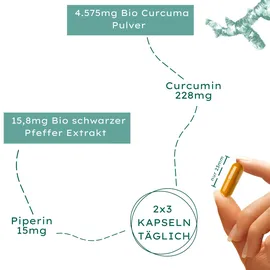 Nature Basics Bio Curcuma Kapseln 180 St.