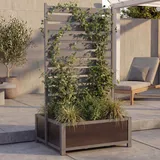 Mendler Aluminium Beet mit Rankgitter 158 x 90 x 75 cm Grau