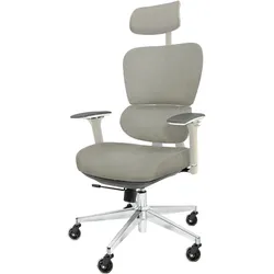 CLOUVOU ProSeat, ergonomischer Bürostuhl, thermoregulative Materialien, 4D-Armlehnen, 3D-Kopfstütze, BladeWheels, Creme-weiß