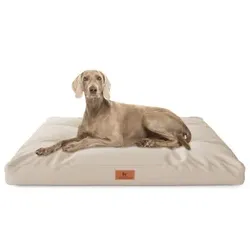 Knuffelwuff Hundekissen Gatsby aus Oxford-Gewebe beige M-L