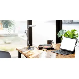 GLOBO Berletta Dunkelgrau