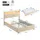 XDOVET Polsterbett 160 x 200 cm Beige