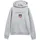 GANT Hoodie Grau 176