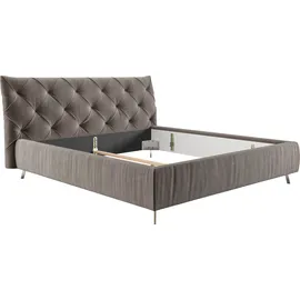 Home Affaire Polsterbett HOME AFFAIRE "Elloree in 4 Breiten bis 200cm, auch in Leder", grau (stone), B:236cm H:105cm L:254cm, 100% Polyester, Betten, Polsterbett, Kopfteilhöhe 105cm, belastbar bis 280 kg, auch in Überlänge 220cm