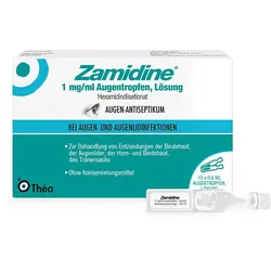 Zamidine 1 mg/ml Augentropfen, Lösung 10X0.6 ml Augentropfen