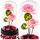 Wisam® Aufbewahrungsbox Ewige Rose Glaskuppel LED Kristall 21,5 cm 1-tlg. rosa