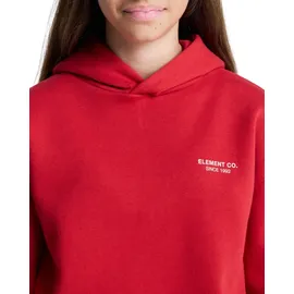 Element Hoodie Red 14