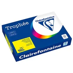 Clairefontaine Kopierpapier Trophée canariengelb DIN A4 160 g/m2 250 Blatt