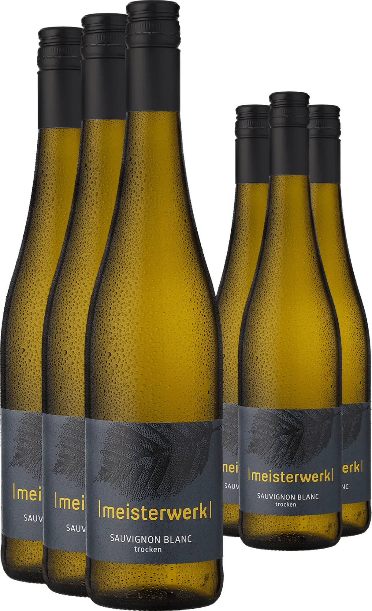 3+3-PAKET Espenhof »Meisterwerk« Sauvignon Blanc 2024