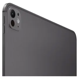 Apple iPad Pro 11" (5. Generation 2024) 2 TB Wi-Fi + Cellular Space Schwarz