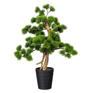 creativ-green Kunstpflanze Bonsai Kiefer, 60 cm