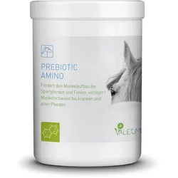 Valetumed Prebiotic Amino, Muskelaufbau - 750g