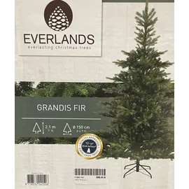 Everlands Grandis Fir, Real Needle 210cm,grün