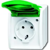 Busch-Jaeger Steckdose 20 EWN-13-54