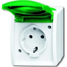 Busch-Jaeger Steckdose 20 EWN-13-54