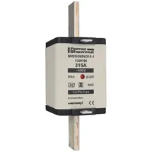 Mersen NH-Sicherungseinsatz NH2GG69V224-1