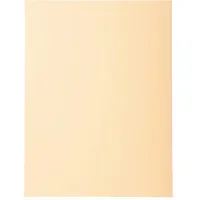 Exacompta 420002E 100er Pack Aktendeckel Forever® 170 g/m2 Aus
