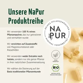 vom Achterhof Shatavari Kapseln Nachfüllpack 400 Kapseln