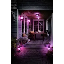 Philips Hue White and Color schwarz 1744130P7