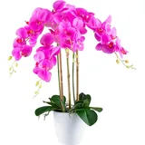 Creativ green Kunstorchidee »Orchidee Phalaenopsis«, mit real-touch-Blüten, lila