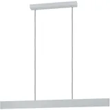 EGLO Andreas-Z 1-flg. 117 cm grau Stahl