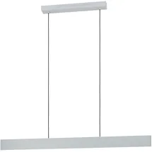 EGLO Andreas-Z 1-flg. 117 cm grau Stahl