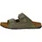 olive 43