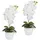 Creativ green Kunstpflanze Orchidee Phalaenopsis Orchidee, Creativ green, Höhe 40 cm, im Keramiktopf weiß