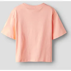 NAME IT T-Shirt NAME IT "NKFBEATRICE SS NREG SH TOP BOX PS NOOS", Mädchen, Gr. 158/164, desert flower, Jersey, Obermaterial: 100% Baumwolle, bestickt, unifarben, taillenbedeckt, Rundhals, Shirts T-Shirt