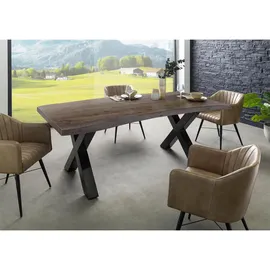MASSIVMOEBEL24.DE Baumtisch 220 x 77 x 100 cm grau