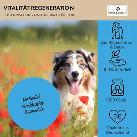 Paws & Patch Blütenmischung Vitalität 10 g