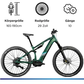 Zündapp X1000 29 Zoll RH 54 cm Damen sunlight magic