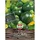 Sperli Zucchini Eight Ball F1'