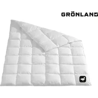 Häussling Grönland Daunendecke Gänse 155x220 cm | Ganzjahresdecke, Bettdecke, 6x8 Karos, Deutsche Manufaktur, auch für Allergiker geeignet, Bez... - Weiß