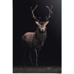Poster REINDERS "Poster Hirsch", braun (farbe bild(er): braun), B:61cm H:91,5cm, Papier, Bilder