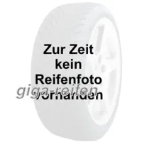 COMFORSER CF1100 255/55R20 117S Rwl