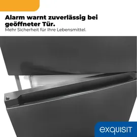 Exquisit KGC5400-130-NF-040D Kühl-Gefrierkombination (400 l, 1860 mm hoch, Inoxlook)