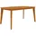 vidaXL Gartentisch 160 x 90 x 75 cm Braun