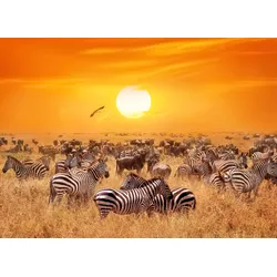 Fototapete PAPERMOON "African Antelopes and Zebras", bunt (mehrfarbig), B:4m L:2,6m, Vlies, Tapeten